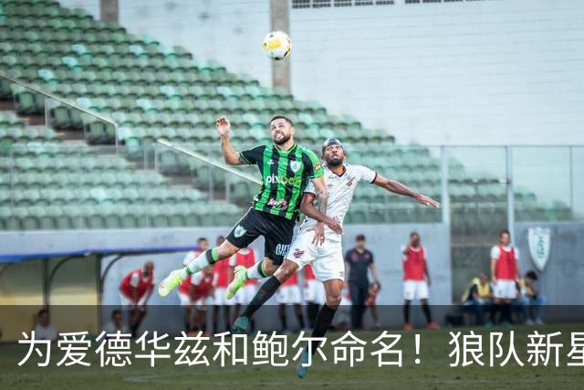 为爱德华兹和鲍尔命名！狼队新星组合备受关注